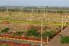 kundli image
