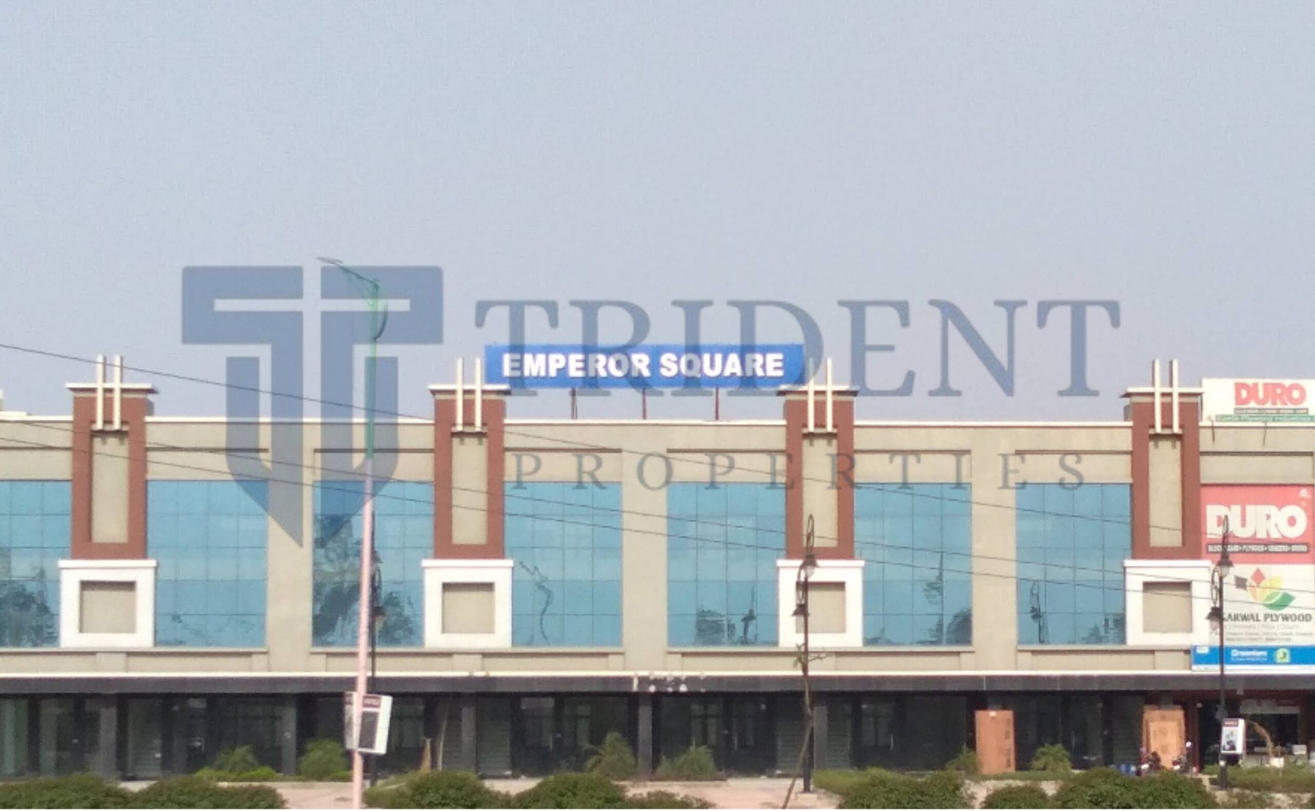 TDI emperor square img